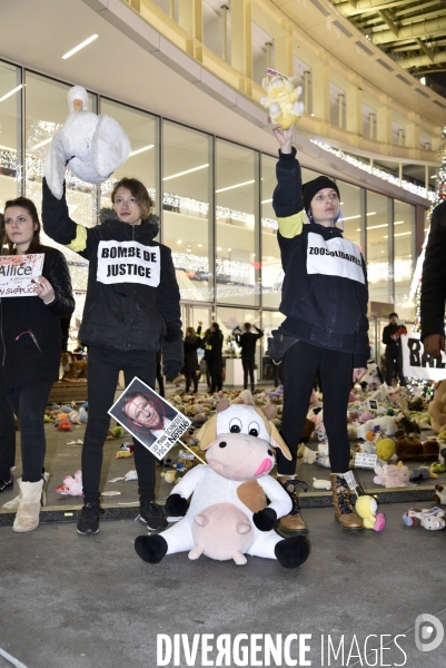 Action cause animale du collectif Boucherie abolition, BALANCE TON ZOOCRIMINEL. Animals rights.