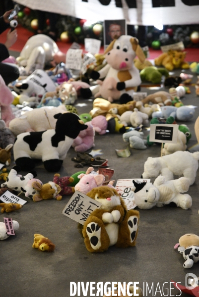 Action cause animale du collectif Boucherie abolition, BALANCE TON ZOOCRIMINEL. Animals rights.