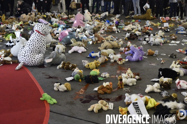 Action cause animale du collectif Boucherie abolition, BALANCE TON ZOOCRIMINEL. Animals rights.