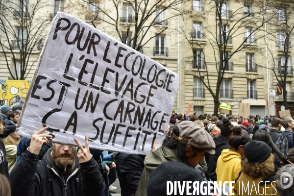 Marche pour le climat