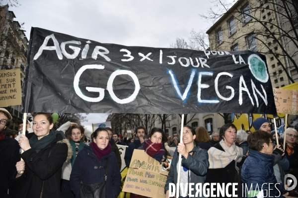 Marche pour le climat