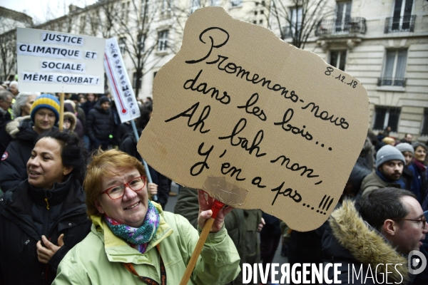 Marche pour le climat