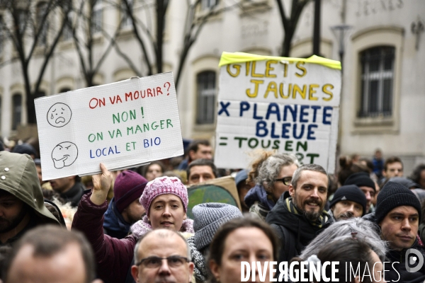 Marche pour le climat