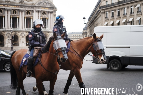 gilet jaune cheval