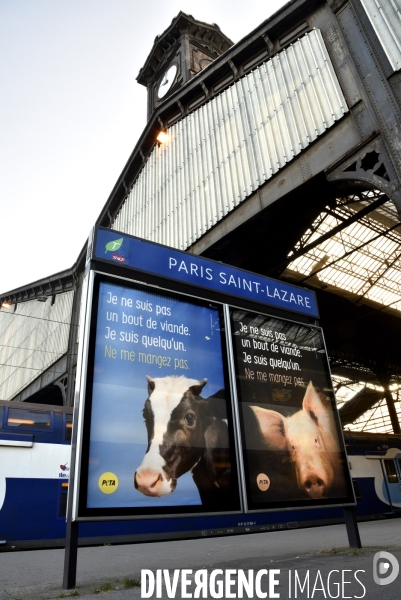 Campagne d affichage de l association PETA France dans la gare Saint-Lazare à Paris pour sensibiliser les voyageurs aux animaux d élevage. Animals rights.