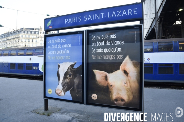 Campagne d affichage de l association PETA France dans la gare Saint-Lazare à Paris pour sensibiliser les voyageurs aux animaux d élevage. Animals rights.