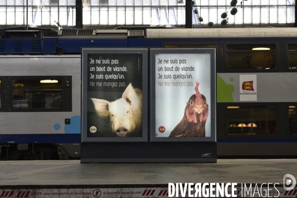 Campagne d affichage de l association PETA France dans la gare Saint-Lazare à Paris pour sensibiliser les voyageurs aux animaux d élevage. Animals rights.