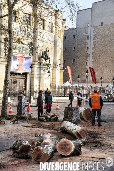 Abattage d un platane dans les rues de Paris.