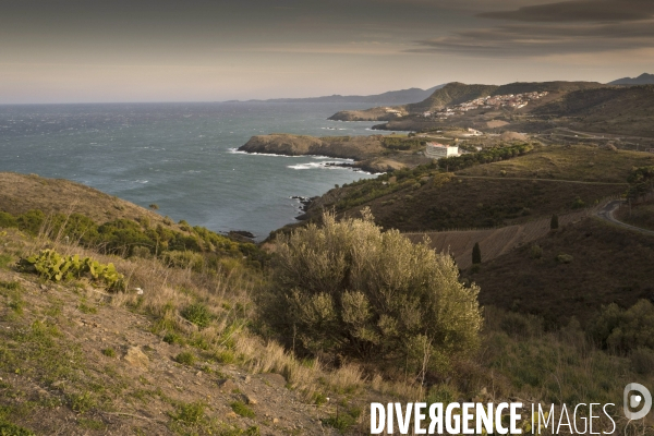 La Labo Arago et la réseve marine de Banyuls