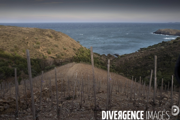 La Labo Arago et la réseve marine de Banyuls