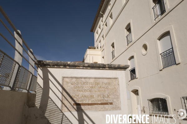 La Labo Arago et la réseve marine de Banyuls