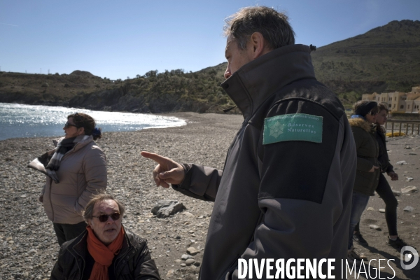 La Labo Arago et la réseve marine de Banyuls