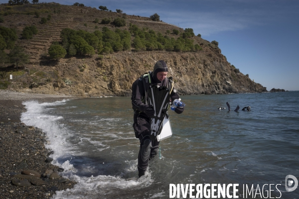 La Labo Arago et la réseve marine de Banyuls