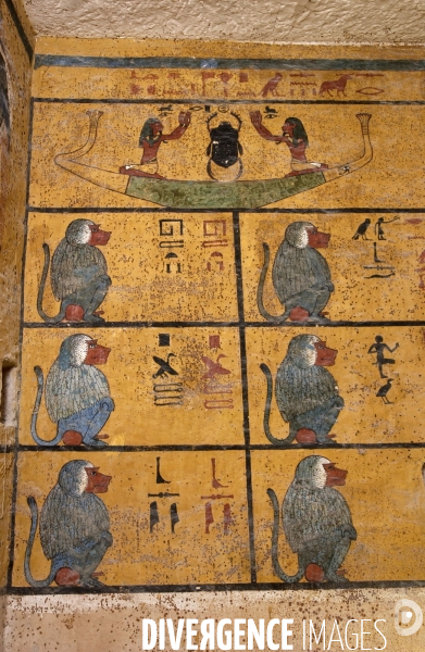 EGYPTE : Le trésor de TOUTANKHAMON. XVIIIe dynastie