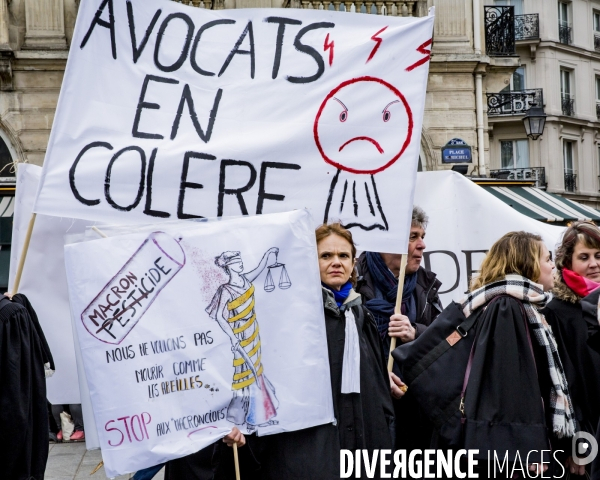 Manifestation des Avocats - Paris 15.01.2019