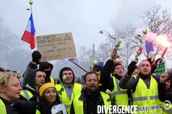 The Gilets Jaunes (Yellow Vests)  demonstrating in Paris