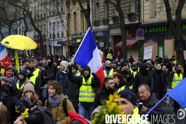 The Gilets Jaunes (Yellow Vests)  demonstrating in Paris