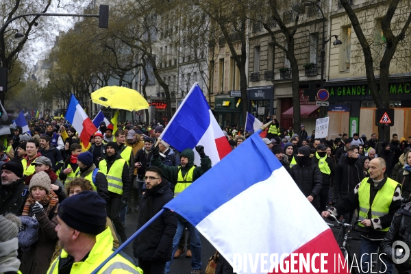 The Gilets Jaunes (Yellow Vests)  demonstrating in Paris