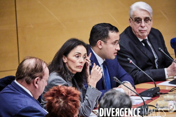 Audition affaire Benalla au Sénat le 21 janvier 2019