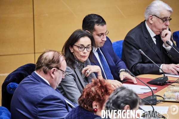 Audition affaire Benalla au Sénat le 21 janvier 2019