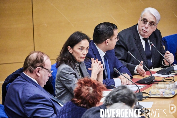 Audition affaire Benalla au Sénat le 21 janvier 2019