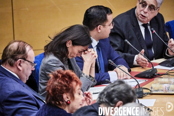 Audition affaire Benalla au Sénat le 21 janvier 2019