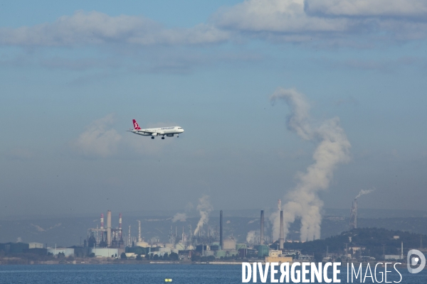 Pollution et malformation