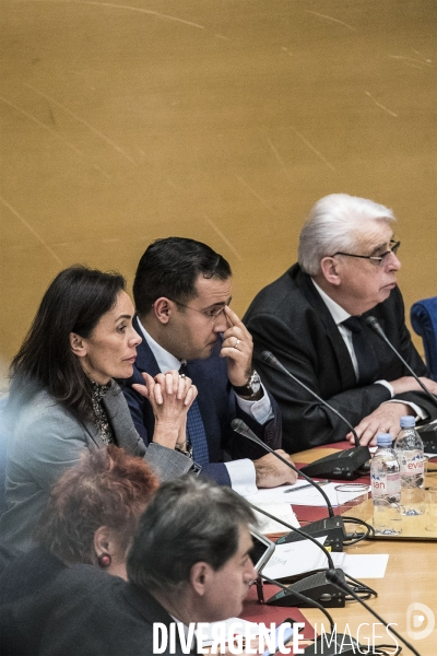 Auditions  affaire Benalla  au Sénat.