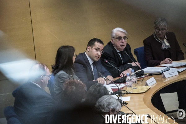 Auditions  affaire Benalla  au Sénat.