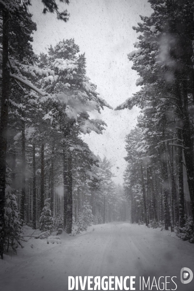 Petite Chronique d en Haut 2019 La neige