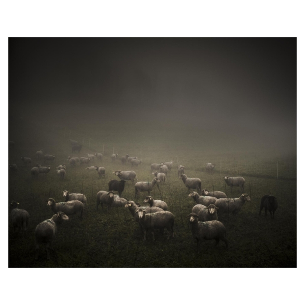 Le long de la TransBasseAlpine Digne-Nice