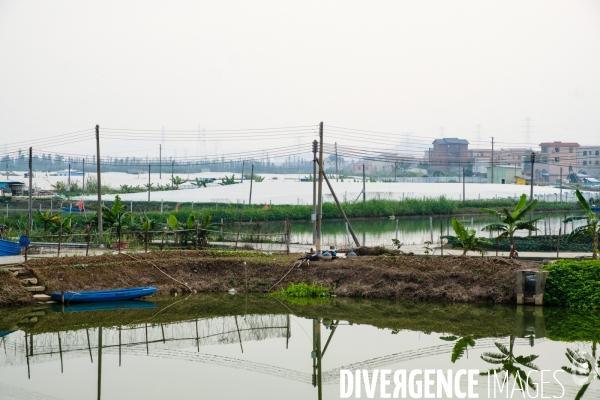 La région de Canton (Guangzhou), Chine