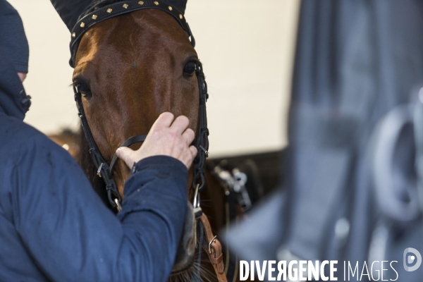 Grand Prix d Amérique 2019