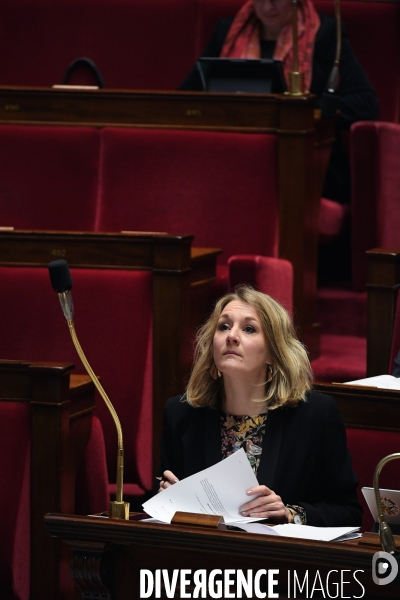 Discussion de la loi anti casseurs a l Assemblee nationale