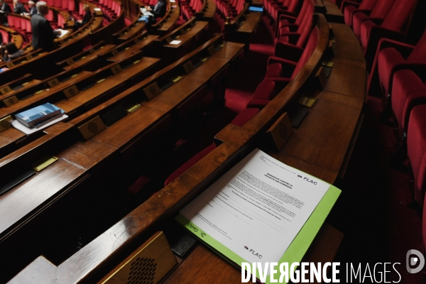 Discussion de la loi anti casseurs a l Assemblee nationale