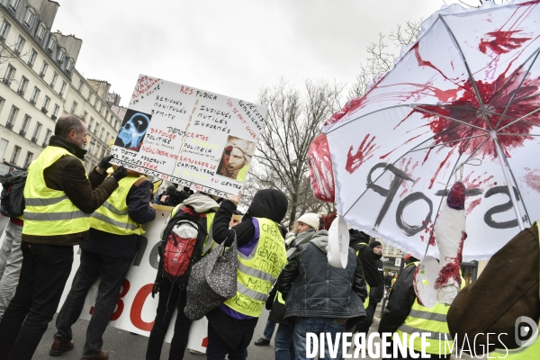 Manifestation Gilets jaunes, marche blanche pour les blessés du 2 février 2019 à Paris.