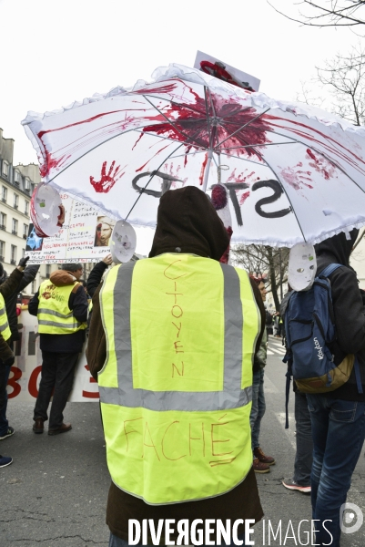 Manifestation Gilets jaunes, marche blanche pour les blessés du 2 février 2019 à Paris.