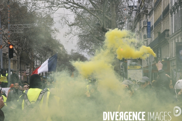 Manifestation Gilets jaunes, marche blanche pour les blessés du 2 février 2019 à Paris.