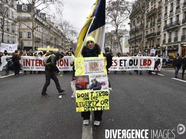 Manifestation Gilets jaunes, marche blanche pour les blessés du 2 février 2019 à Paris.