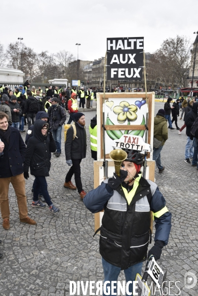 Manifestation Gilets jaunes, marche blanche pour les blessés du 2 février 2019 à Paris.