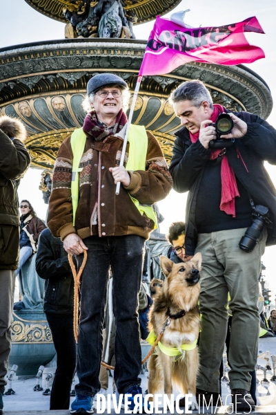 Manifestation Interprofessionnelle + Gilets Jaunes - Paris - 05.02.2019