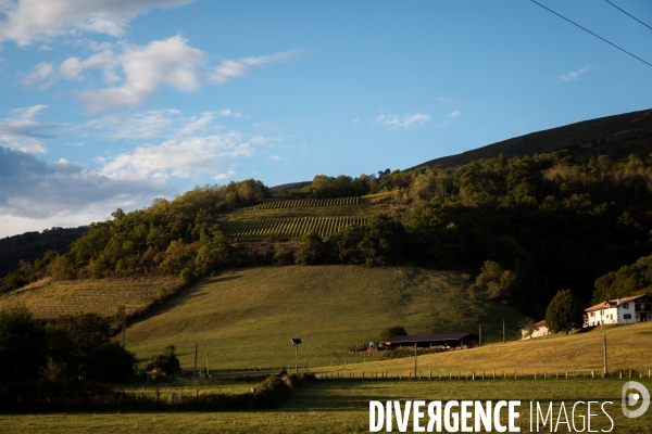 Le vin nature d Irouléguy dans le Pays basque