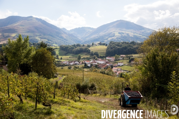 Le vin nature d Irouléguy dans le Pays basque