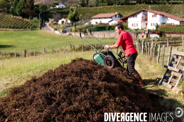 Le vin nature d Irouléguy dans le Pays basque