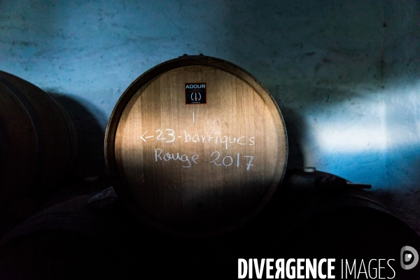 Le vin nature d Irouléguy dans le Pays basque