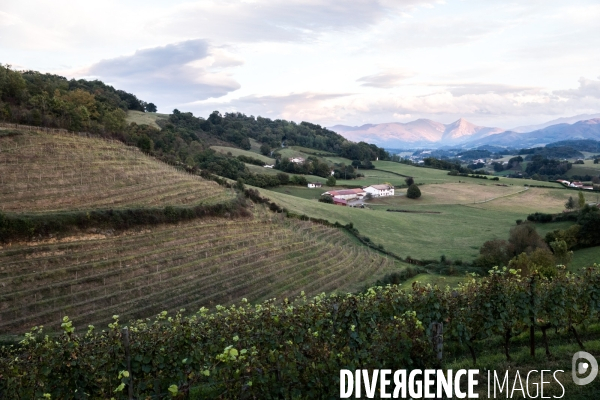 Le vin nature d Irouléguy dans le Pays basque