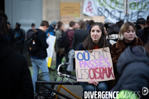 Grève de la jeunesse pour le climat