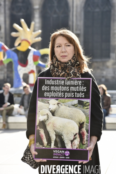 Action cause animale. Happening vegan Impact. Animals rights