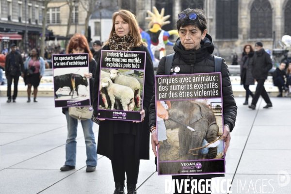 Action cause animale. Happening vegan Impact. Animals rights