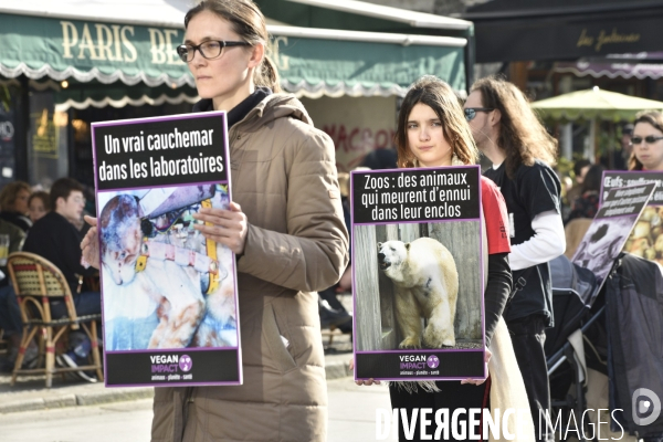 Action cause animale. Happening vegan Impact. Animals rights